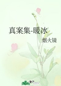 真案集-暖冰